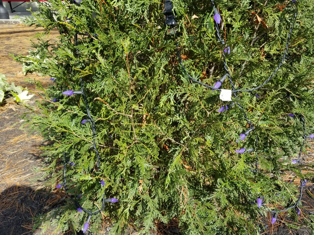 20171015_122549.jpg