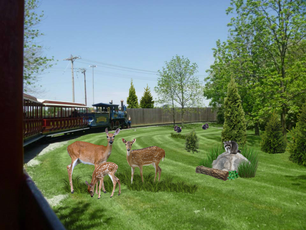 nature.png