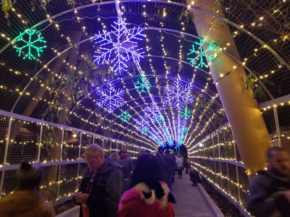 20171124_191124.jpg