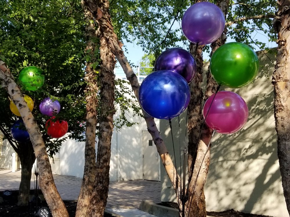 20180609_091536.jpg