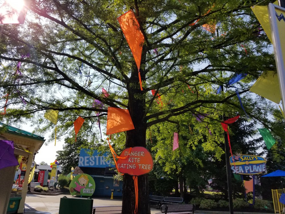20180609_092944.jpg