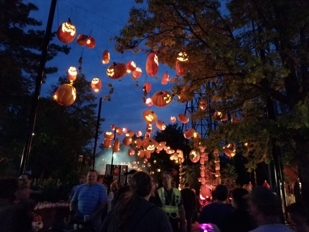 20180921_200539.jpg
