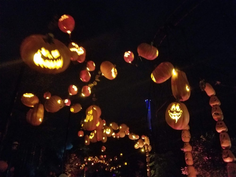 20180921_221929.jpg