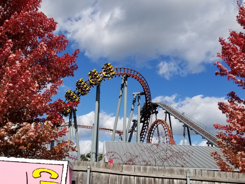 20181020_140831.jpg