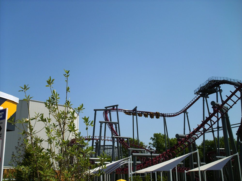 HPIM0193.jpg