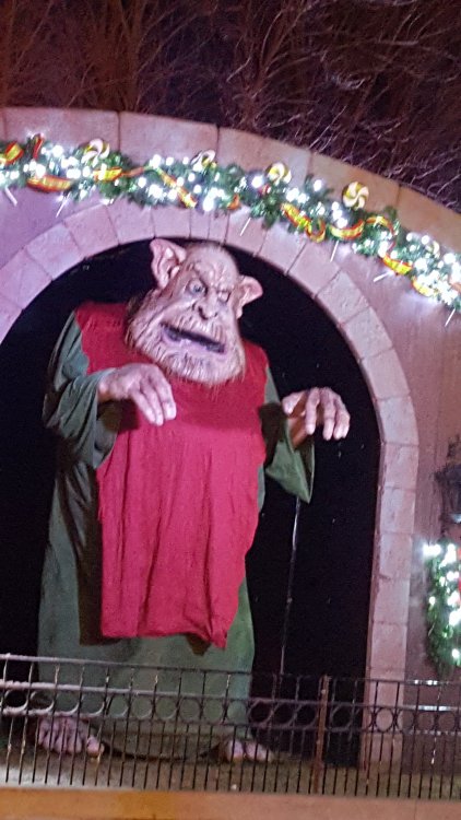 20181207_213131.jpg