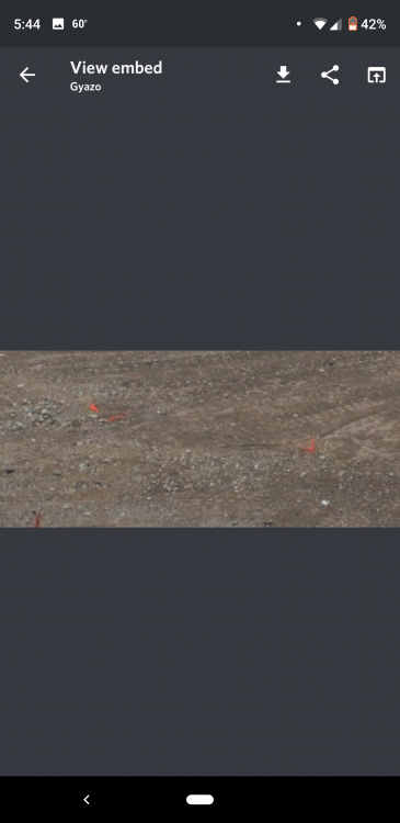 Screenshot_20190513-174456.png