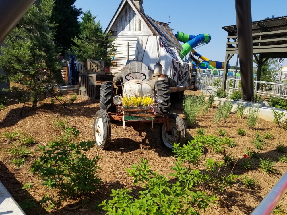 20190617_100034.jpg