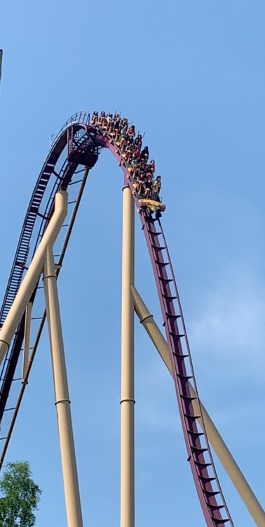 C3345575-3D1F-423F-9CB7-8578335E5DCD.jpeg