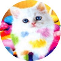 Melody