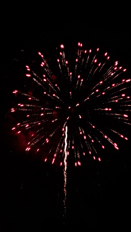 fireworks.jpg