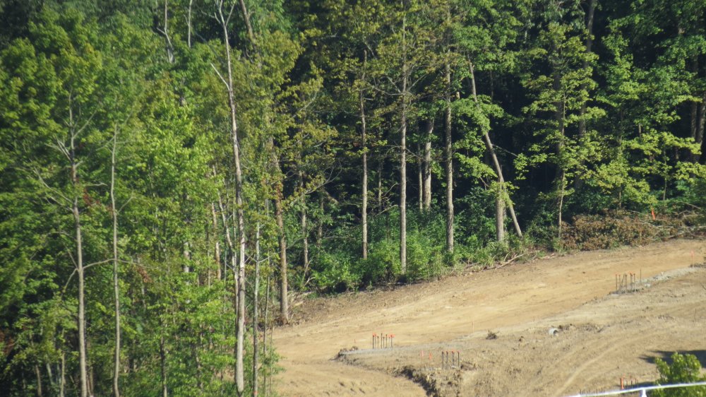 f1050304.jpg