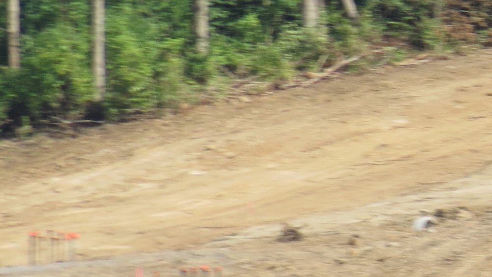 f1090944.jpg