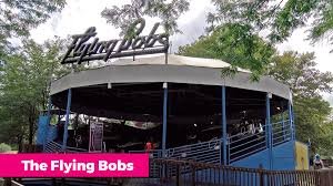 image.jpeg