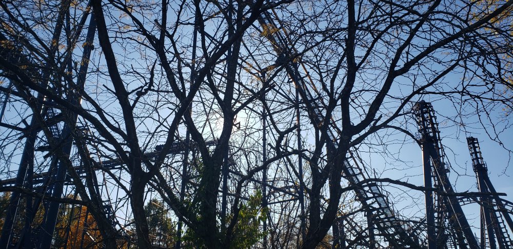 20191027_161201.jpg