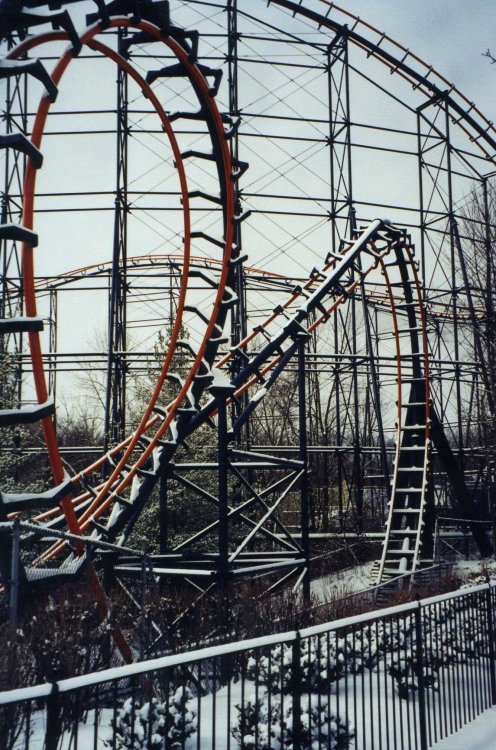 img458.jpg