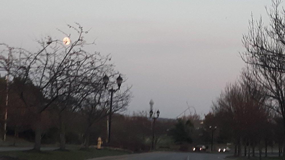 20191110_172219.jpg