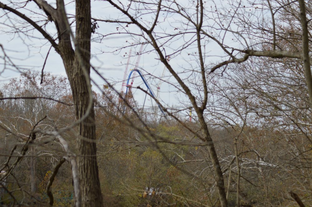 DSC_0877.jpeg