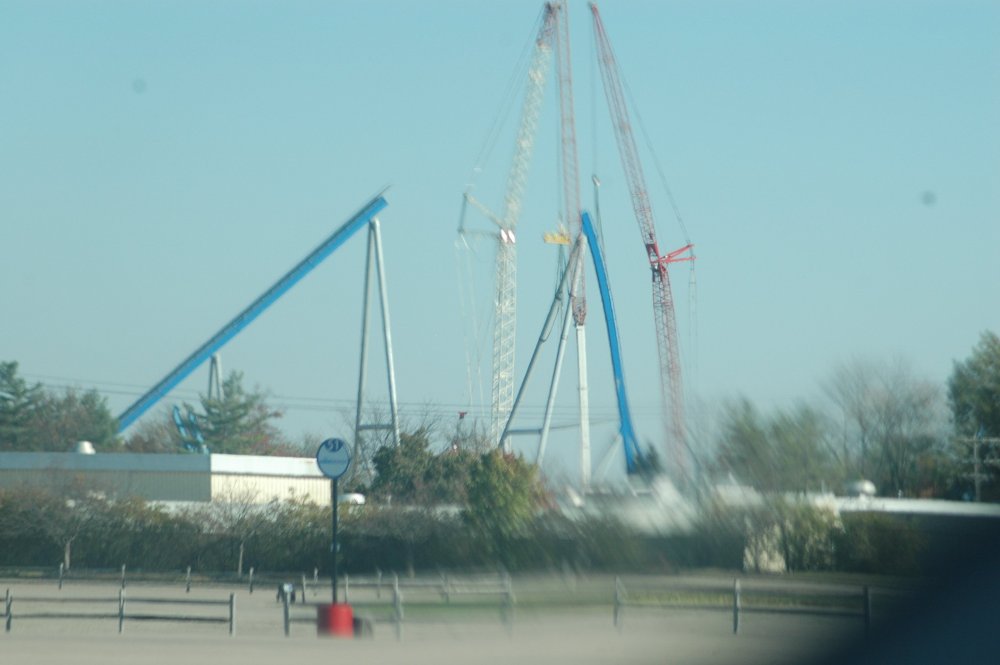 DSC_6446.JPG
