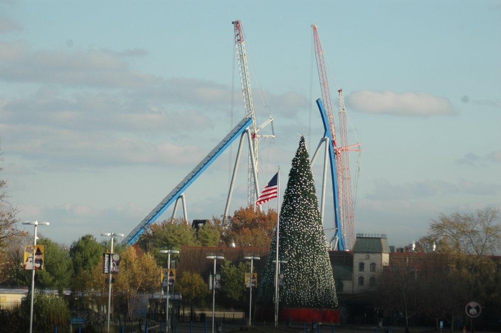 DSC_6536.JPG