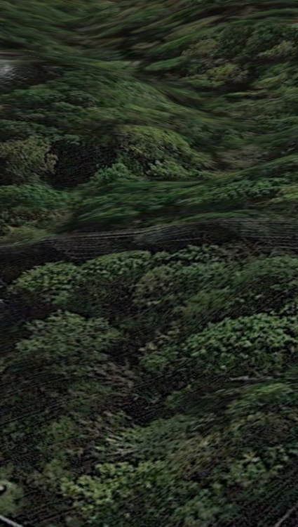 Random Photo.PNG