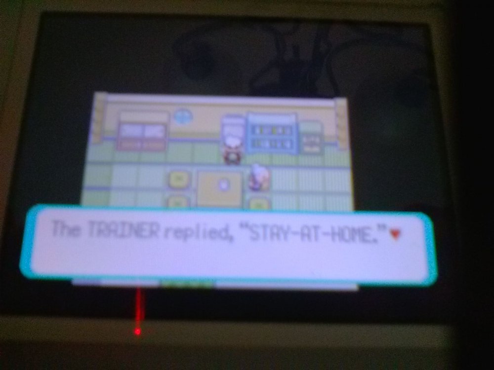 image.jpeg