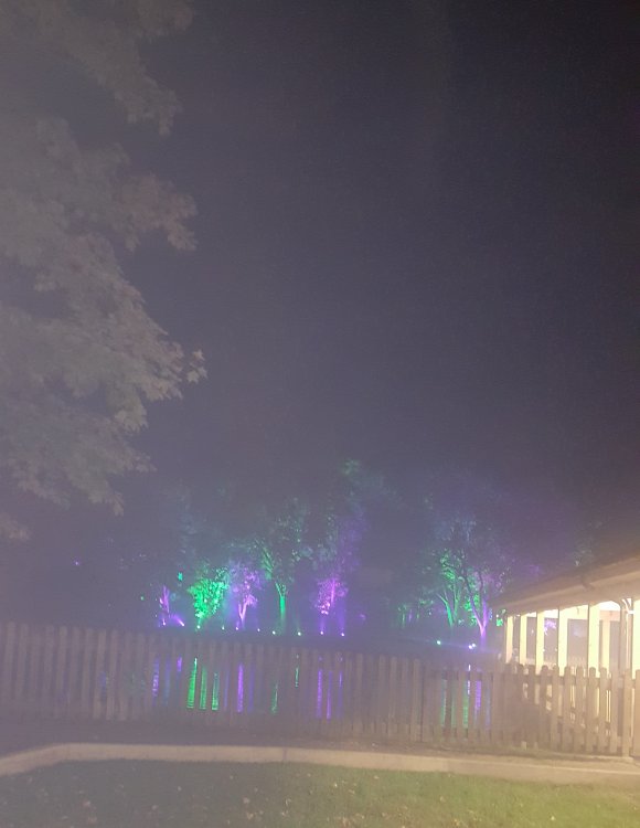 20181006_224345 (2).jpg