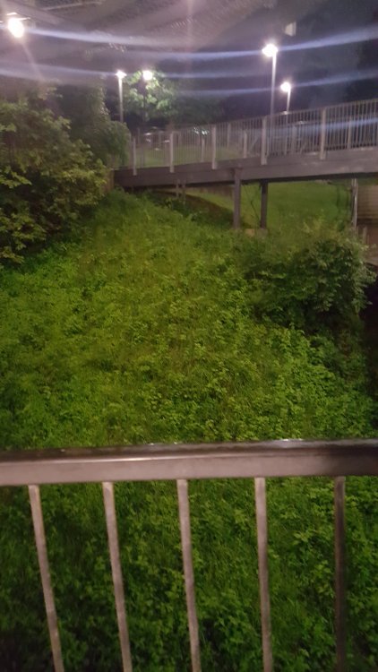 20180818_214801.jpg