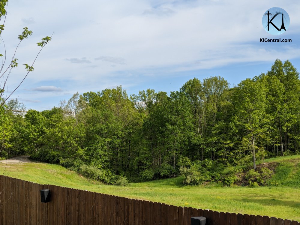 Photo_1620511942953.jpg