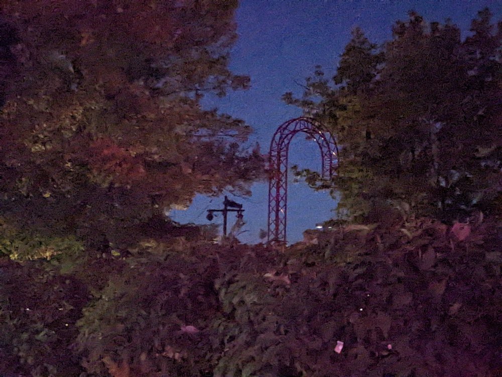 PXL_20221008_000005586.jpg
