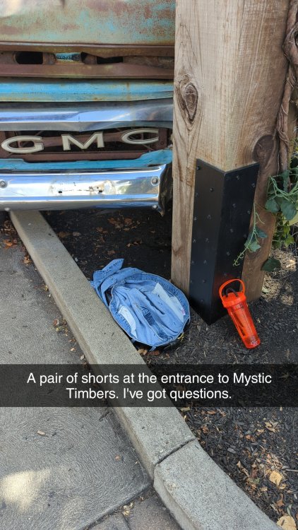 Snapchat-723187788.jpg