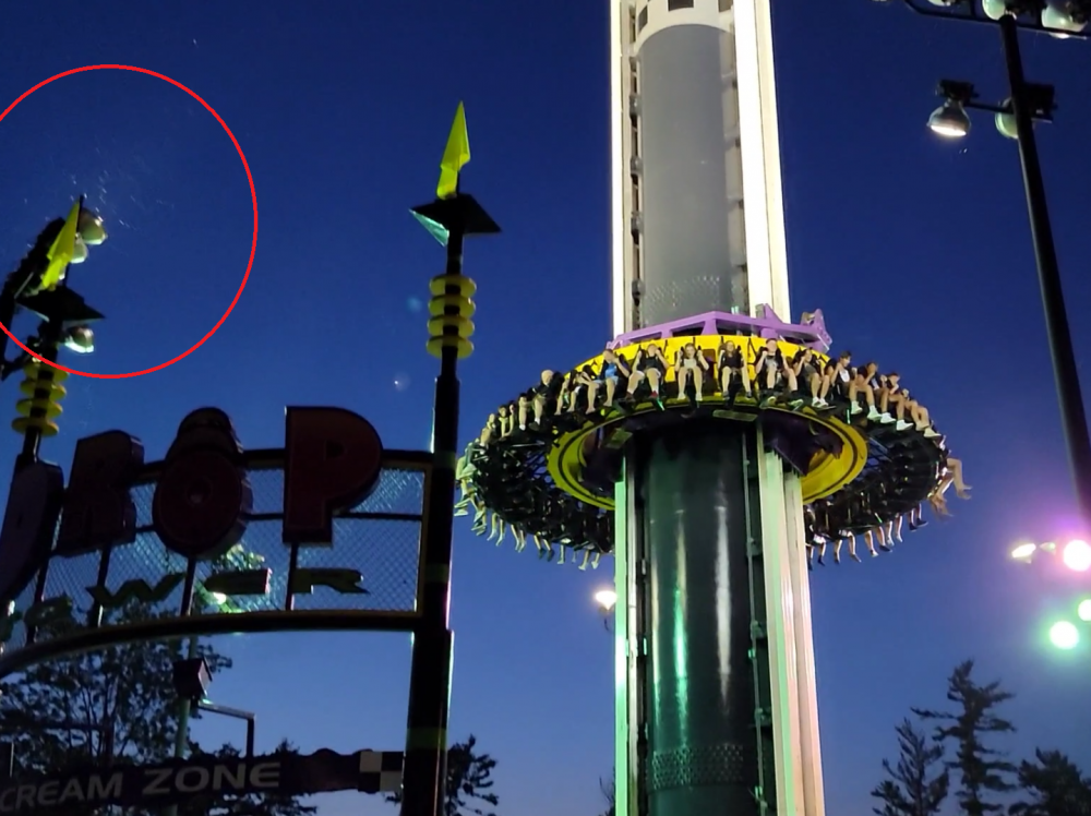 droptowerbugs.png