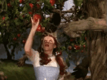 wizard-of-oz-dorothy.gif