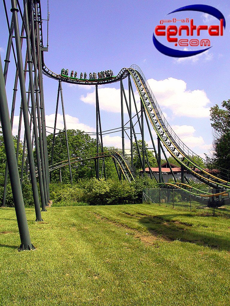 King Cobra