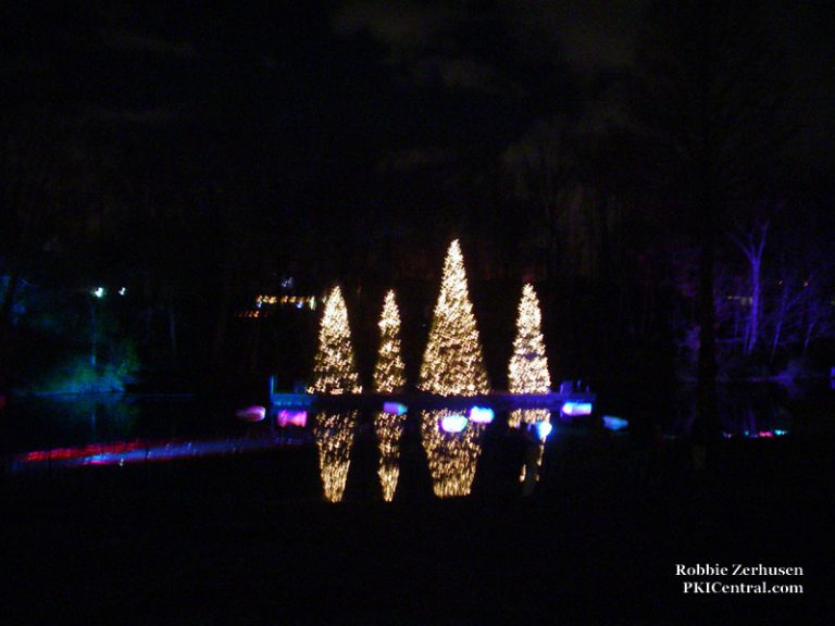 Holiday Illuminations