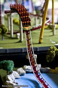 Diamondback Announcement — photo 3 of 49