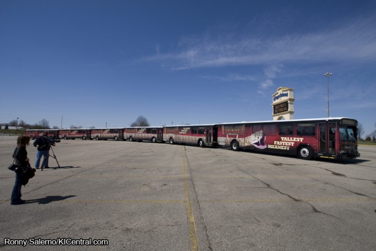 Diamondback Bus Parade — photo 15 of 15