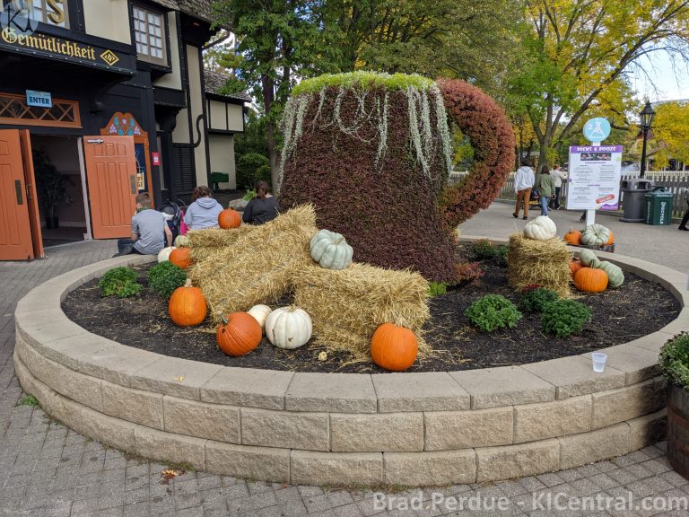PXL_20201003_210721953