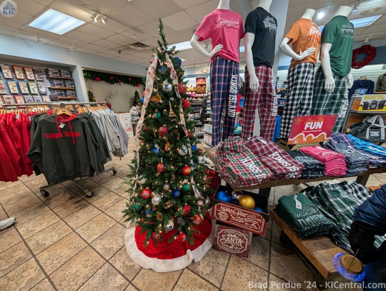WinterFest 2024 — photo 4 of 243