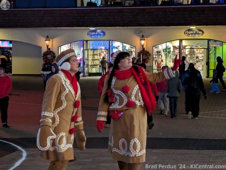 WinterFest 2024 — photo 8 of 243