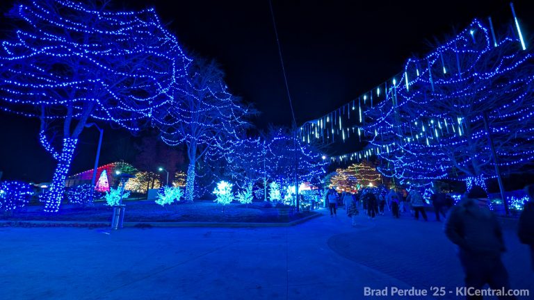 PXL_20251129_010702403